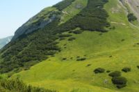 2015-07-04_2Sonnjoch (109).JPG